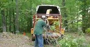 Marietta Tree Service® | Tree Removal -Tree Trimming (770) 912-4033