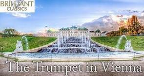 The Trumpet in Vienna