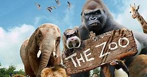 The Zoo - Welcome to The Zoo