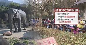 台北動物園全年無休 提案暑假前休園12天 - 新唐人亞太電視台