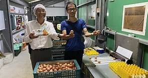 台南業者砸億元蓋「帝寶級」雞舍 5萬蛋雞爽住快樂生蛋 - 生活 - 自由時報電子報