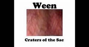 Ween - Craters of the Sac (1999)