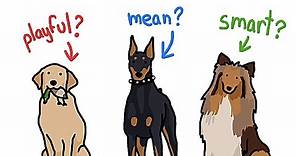 How Different Are Different Types of Dogs?