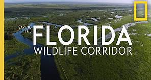 Saving the Florida Wildlife Corridor | National Geographic
