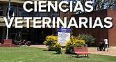 ¿Conocés la oferta académica de la Facultad de Ciencias Veterinarias UBA? 🐴🐄 Tiene 3 carreras de grado: Veterinaria, Licenciatura en Gestión de Agroalimentos, y también la Tecnicatura Universitaria en Gestión Integral de Bioterios. | Universidad de Buenos Aires