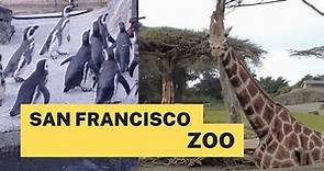 [4K] San Francisco Zoo & Gardens