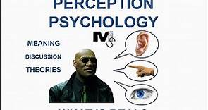 The Psychology of Perception - Simplest Explanation Ever