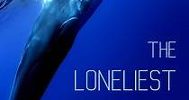 The Loneliest Whale: The Search for 52 - streaming