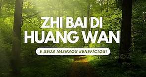 ZHI BAI DI HUANG WAN - E seus IMENSOS Benefícios para o Organismo!