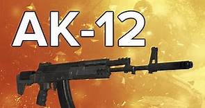 Advanced Warfare In Depth: AK-12 Assault Rifle Review & Variants Guide