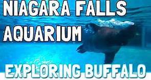 Niagara Falls Aquarium - Exploring Buffalo