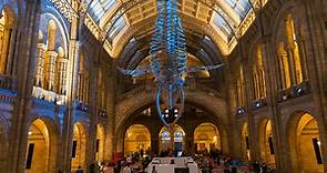 Staycationing in the UK... - Natural History Museum, London