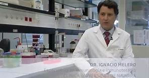 La inmunoterapia revoluciona el tratamiento del cáncer (Clínica Universidad de Navarra)