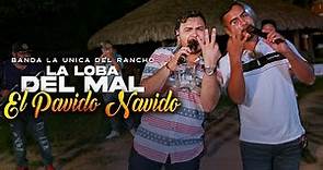 La Loba Del Mal, El Pavido Navido - Banda La Única Del Rancho