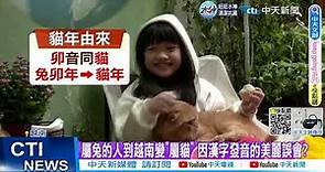 【每日必看】十二生肖沒兔子 越南今年慶"貓年" 20230122 @CtiNews