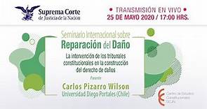 Seminario Internacional sobre Reparación del Daño | 25 de may 2020