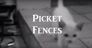 Picket Fences (Pilot)