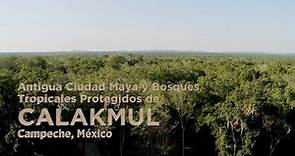 Antigua Ciudad Maya y Bosques Tropicales protegidos de Calakmul