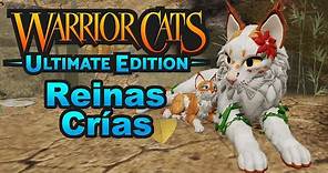 Roblox Warrior Cats: Ultimate Edition Español | Reinas y Crías