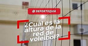 🏐 ¿Cuál Es La Altura De La Red De Voleibol?