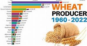 Top 20 most wheat production country (1960 - 2022) || largest wheat producers in the world 2022
