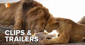 The Lion King ALL Clips + Trailers (2019) | Fandango Family