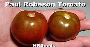 ⟹ Paul Robeson Tomato | Solanum lycopersicum | Tomato Review