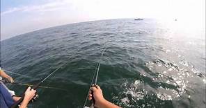 Long Island Fluke Fishing - James Joseph II - Huntington, New York