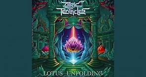 Lotus Unfolding