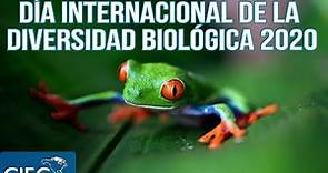 MAYO 22 - DÍA INTERNACIONAL DE LA DIVERSIDAD BIOLÓGICA