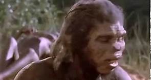 6 Homo erectus l'utilisation du feu
