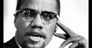 Malcolm X - The House Negro and the Field Negro