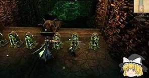 Elder Scrolls Online / Endless Archive / Treacherous Crossing / the Corridor Puzzle