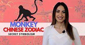 MONKEY Chinese Zodiac Sign - Everything You Need To Know!
