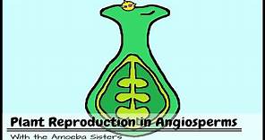 Plant Reproduction in Angiosperms