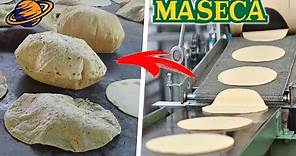 Los SECRETOS De MASECA | ¿Tortillas 100% NATURALES?