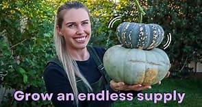 The Ultimate PUMPKIN Growing Guide // Everything you need to know to Grow Pumpkins at Home 🌱🎃