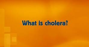 WHO: Cholera - Questions and answers (Q&A)