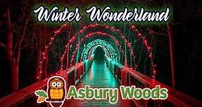 Winter Wonderland At Asbury Woods - Erie, PA