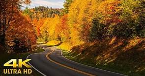 Utah Autumn Colors Mountain Scenic Driving 4K | Kolob Terrace Through Zion | Fall Relaxation