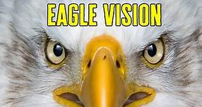 Eagle Vision - How Good is an Eagle's Eyes?