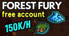 FOREST FURY Camp | TIBIA | Elven Hoof - FULL PROFIT Free account