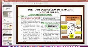 DELITO DE CORRUPCIÓN DE PERSONAS MENORES DE EDAD