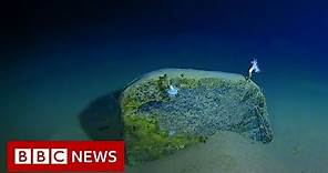 Mariana Trench: Record-breaking journey to the bottom of the ocean - BBC News
