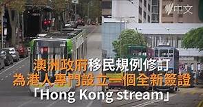 澳洲特設港人永居途徑Hong Kong stream：移民律師解答熱點問題 | SBS中文