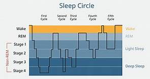 5 Stages of Sleep: Psychology, Cycle & Sequence