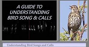 A GUIDE TO UNDERSTANDING BIRD SONG AND CALLS