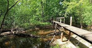 4C National Recreation Trail - A 20-mile Hike Through the East Texas Piney Woods