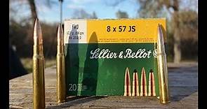 8mm Mauser Sellior and Bellot 196 Grain FMJ Velocity and Accuracy