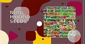 Garden Heirloom Seed Vault, 100 Variety, Over 17,500 Vegetable, Fruit, and Herbs Seeds, Non-GMO, Non-Hybrid, Plus Free Microgreens Kit